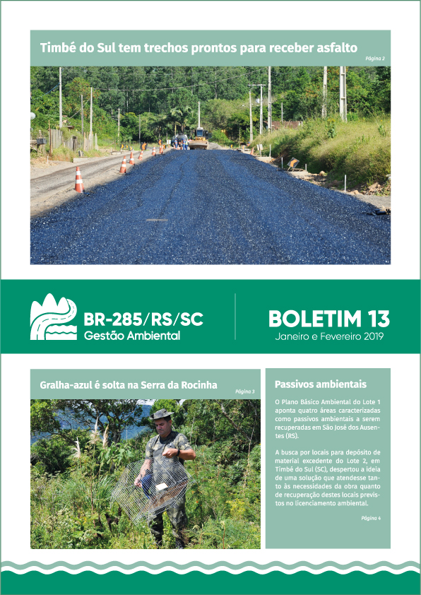 Boletim 13