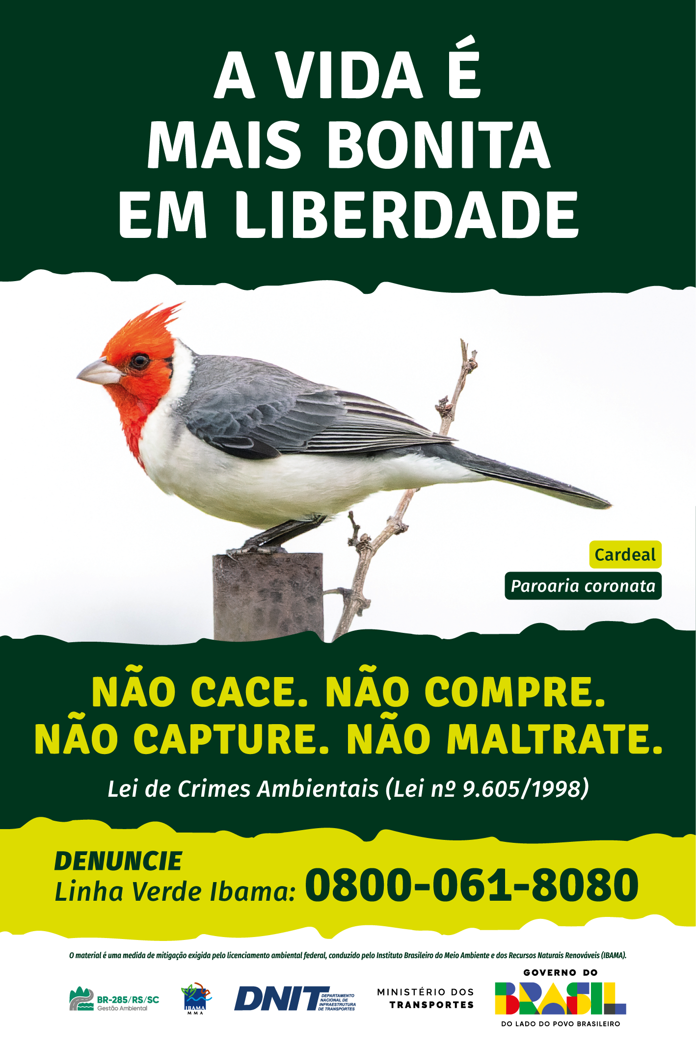 Placa Campanha de Fauna - vertical